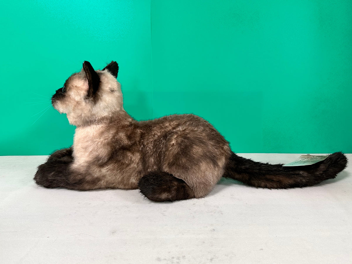 Weighted Handmade Life-Size Siamese Cat Plush – Companion & Memorial