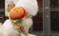 Snootie’s Hamburger Dog Harness and Leash Set