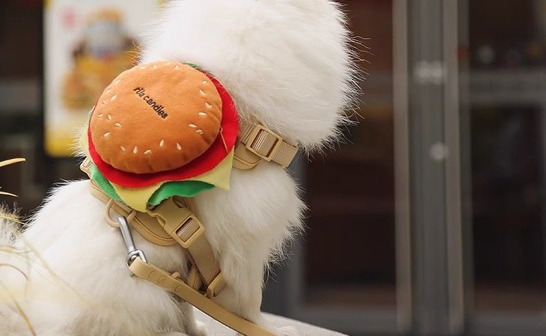 Snootie’s Hamburger Dog Harness and Leash Set