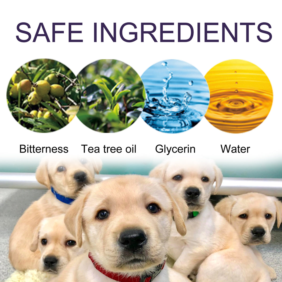 Snootie’s Anti-Chewing Bitter Spray For Pets, Prevent Dogs Tearing Apart Homes Scratching And Biting Long-Lasting Indoor Repellent Spray