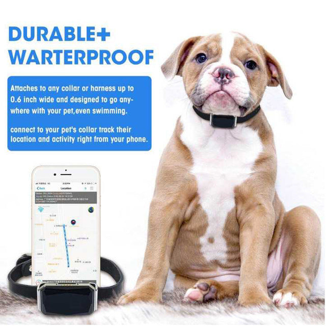 Snootie’s New Arrival IP67 Waterproof Pet Collar GSM AGPS Wifi LBS Mini Light GPS Tracker for Pets Dogs Cats Cattle Sheep Tracking Locator