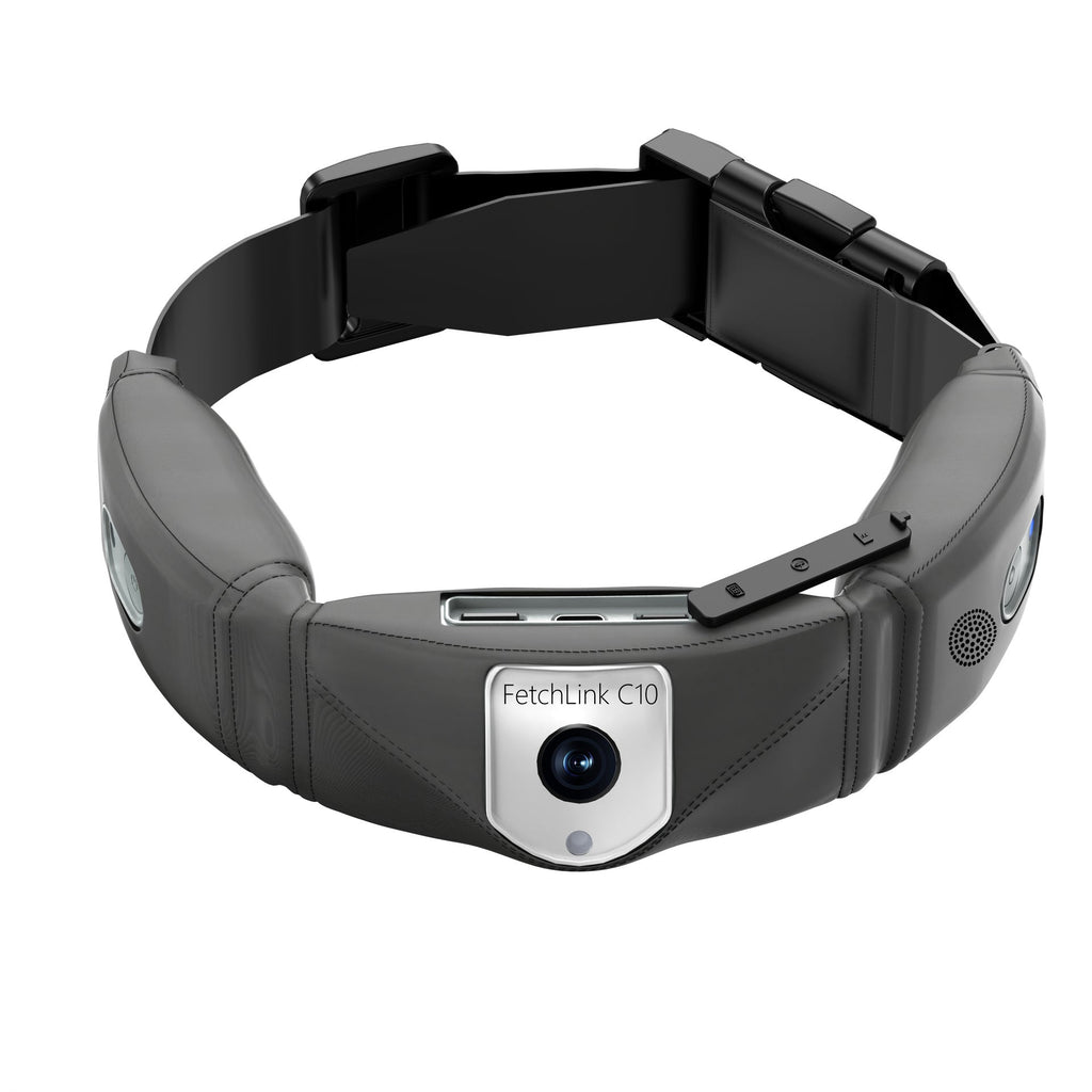C10 Smart Pet Collar Monitoring Health Multifunctional