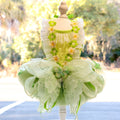 Butterfly Fairy Dog Tutu Dress with 3D Floral Lace