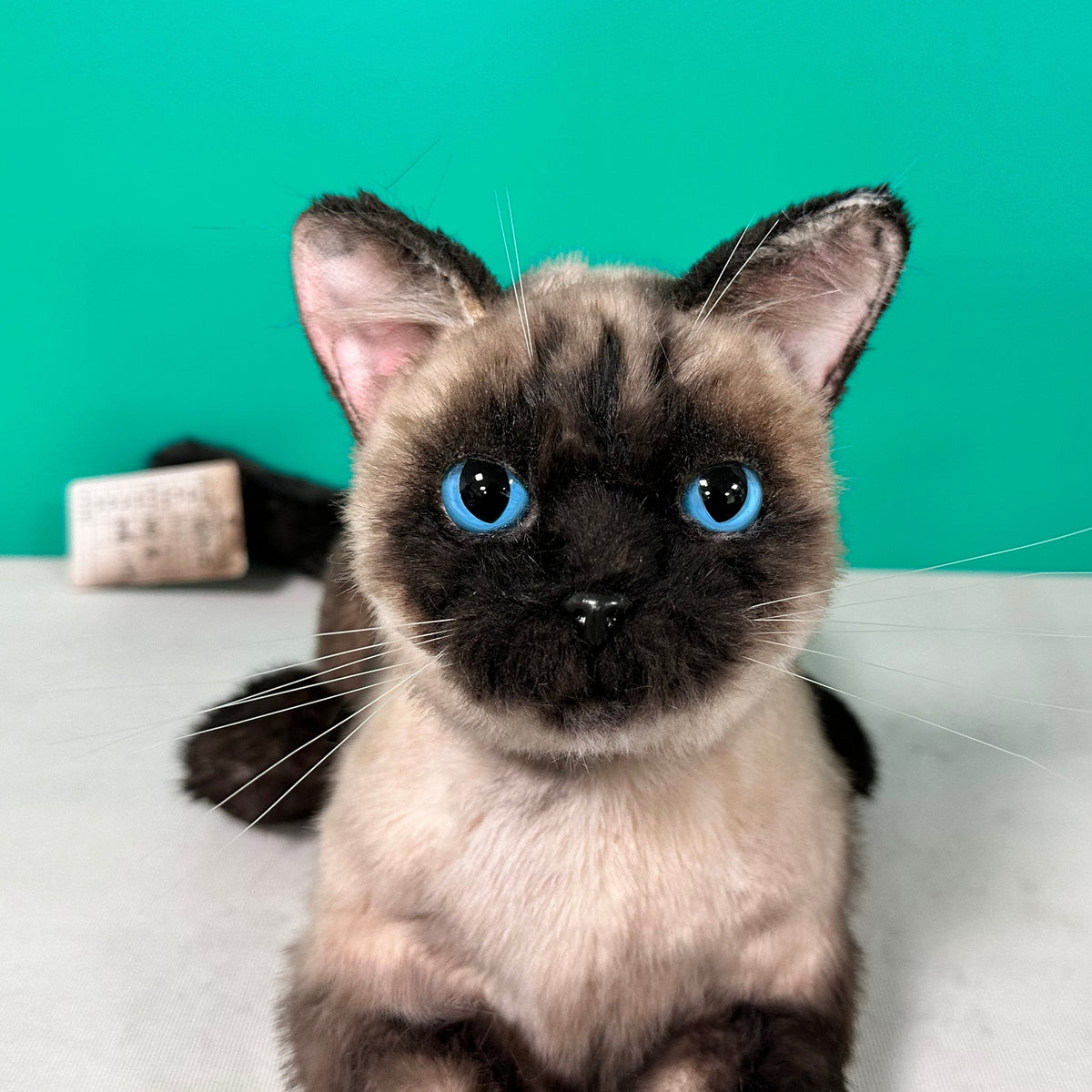 Weighted Handmade Life-Size Siamese Cat Plush – Companion & Memorial