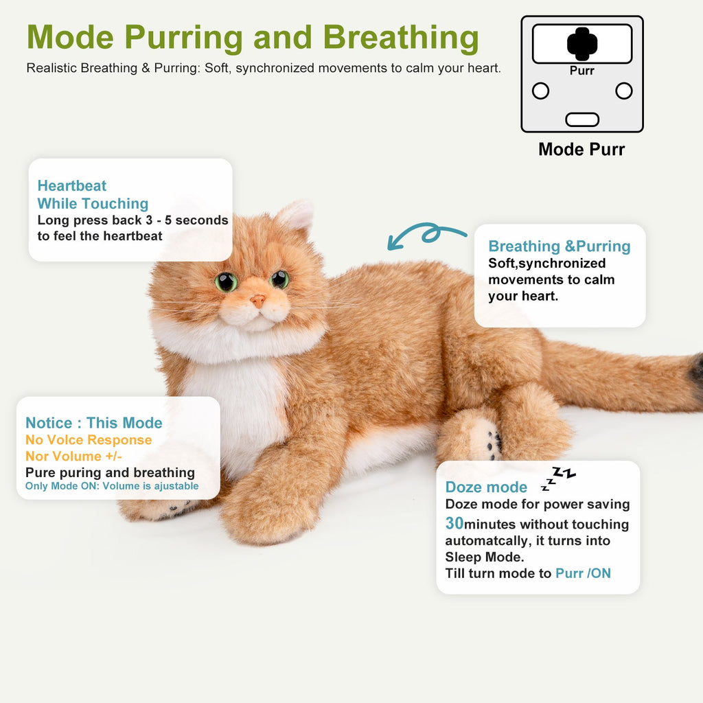 Percy 2.0 Robotic Golden British Shorthair Cat with Breathing & Heartbeat