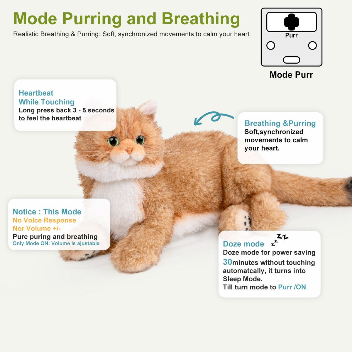 Percy 2.0 Robotic Golden British Shorthair Cat with Breathing & Heartbeat