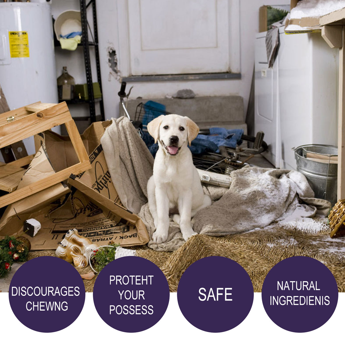 Snootie’s Anti-Chewing Bitter Spray For Pets, Prevent Dogs Tearing Apart Homes Scratching And Biting Long-Lasting Indoor Repellent Spray