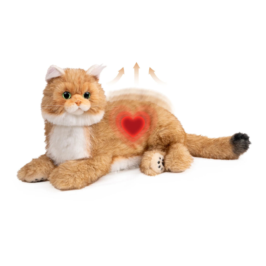 Percy 2.0 Robotic Golden British Shorthair Cat with Breathing & Heartbeat