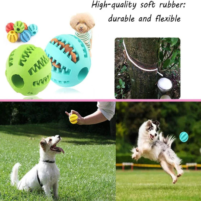 Snootie’s Dog Toy Ball Interactive Rubber Balls Puppy Chewing Toys Pet Tooth Cleaning Ball Cats Pets Food Treat Feeder Silicone Balls Toy