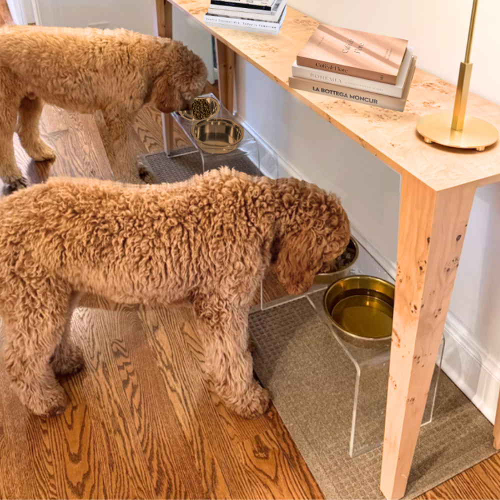 Tall Gold Double Feeder