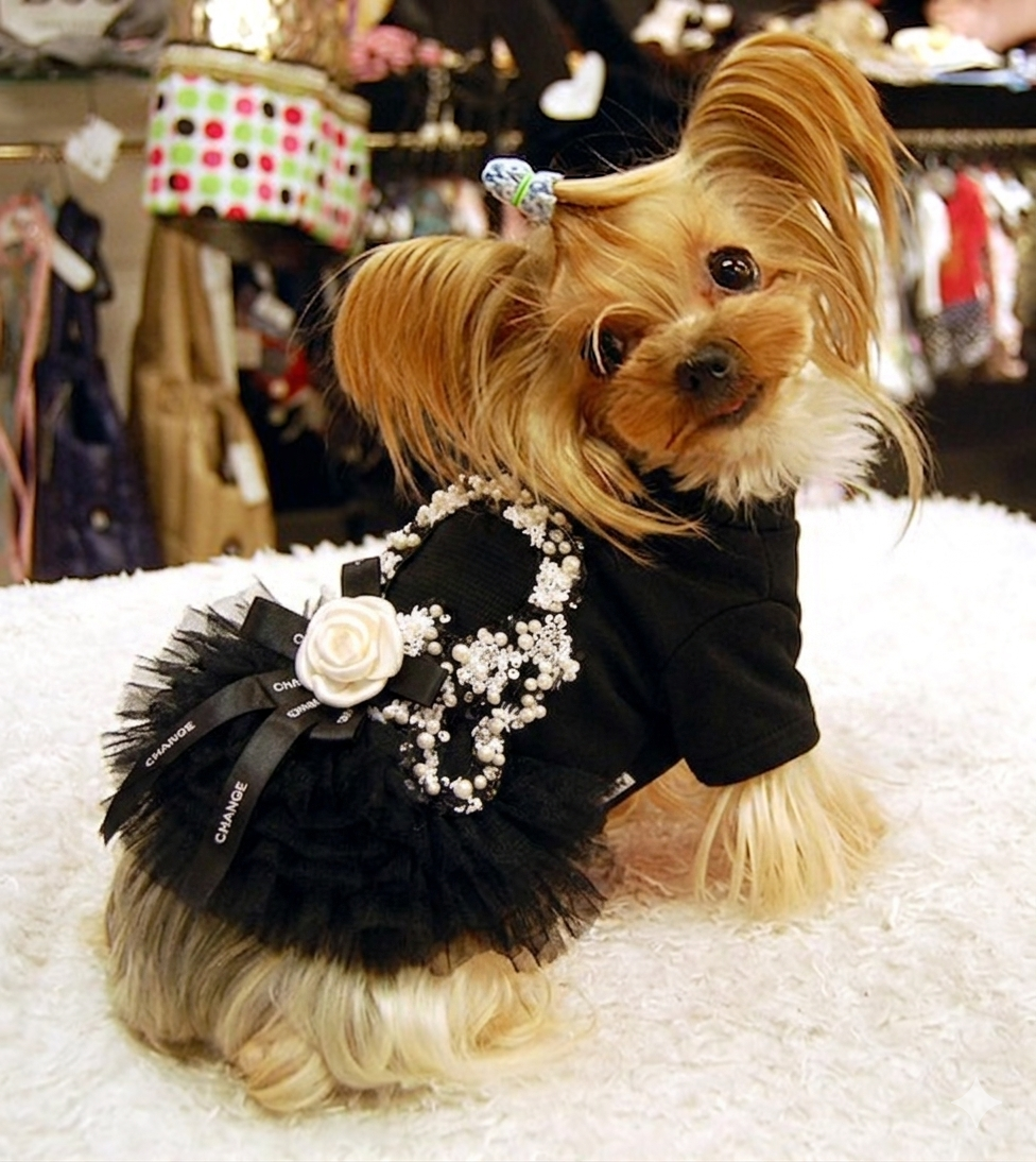Black Pearl Dog Dress with Tulle Skirt