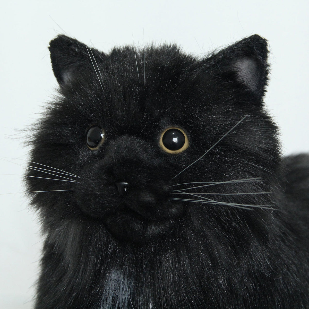 Fully Black Cat Longhair-Handmade Life-Size Companion & Pet Memorial