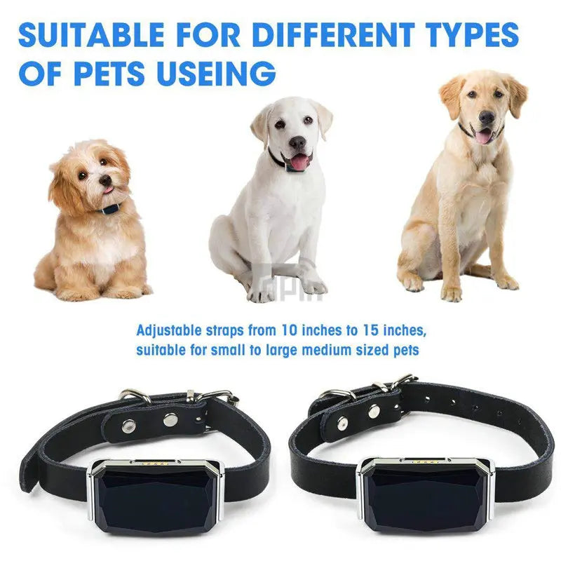 Snootie’s New Arrival IP67 Waterproof Pet Collar GSM AGPS Wifi LBS Mini Light GPS Tracker for Pets Dogs Cats Cattle Sheep Tracking Locator