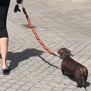 Snootie’s Funny Sausage Dog Leash – Hot Dog Style for Small Pets