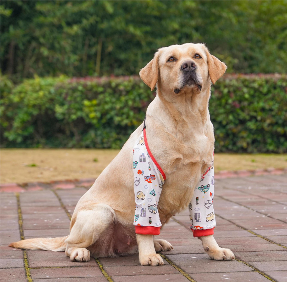 Snootie’s Padded Dog Front Leg Sleeves with Adjustable Strap