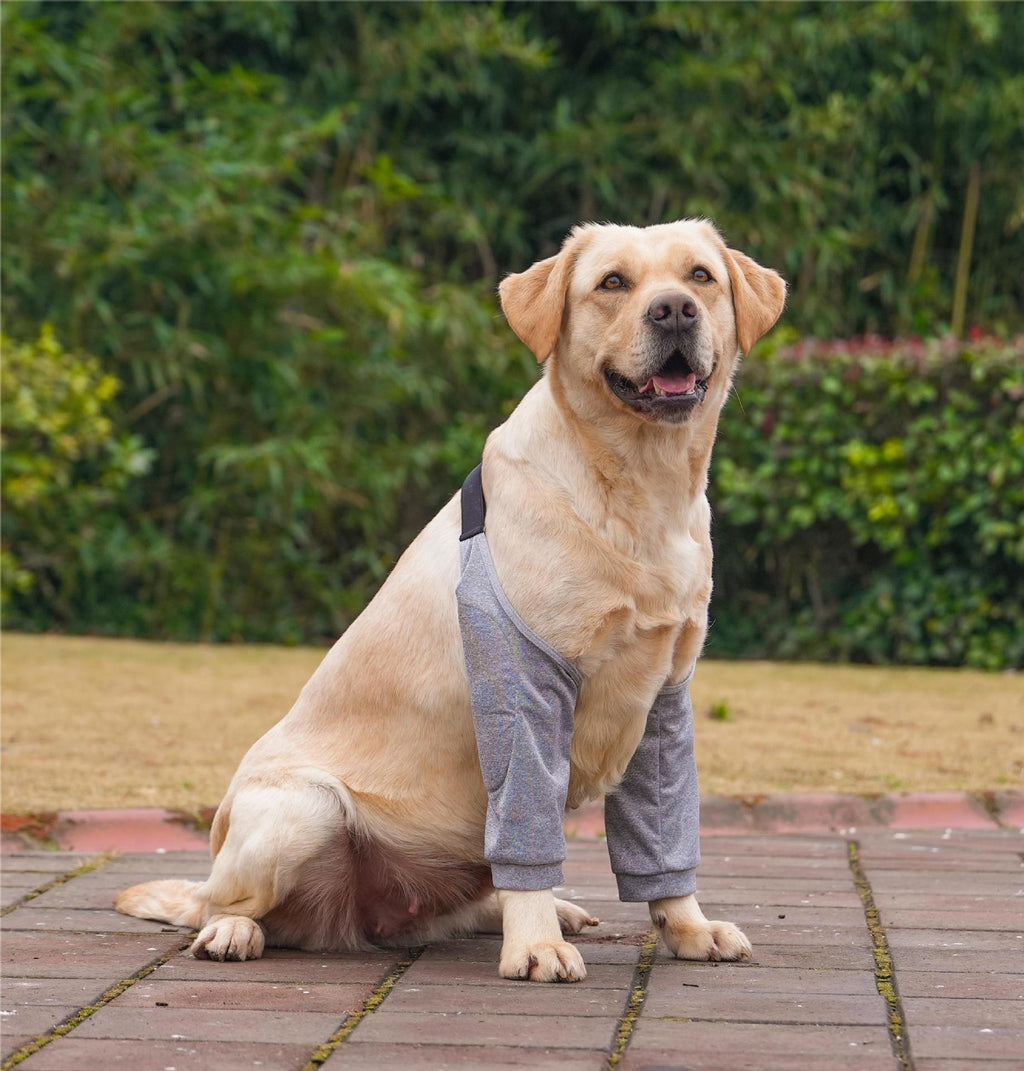 Snootie’s Padded Dog Front Leg Sleeves with Adjustable Strap