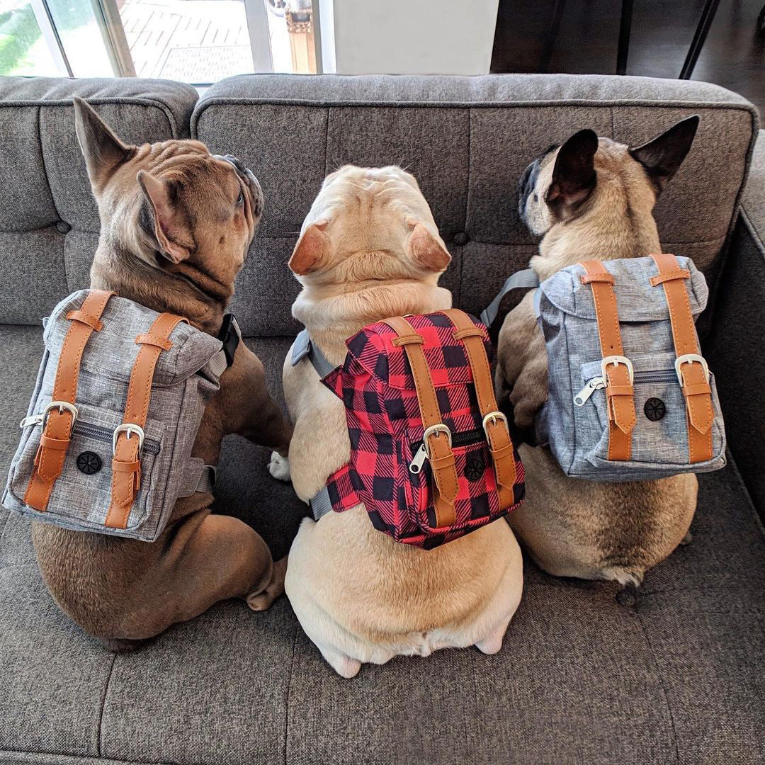 Snootie’s Gray Mini Dog Backpack with Waste-Bag Dispenser