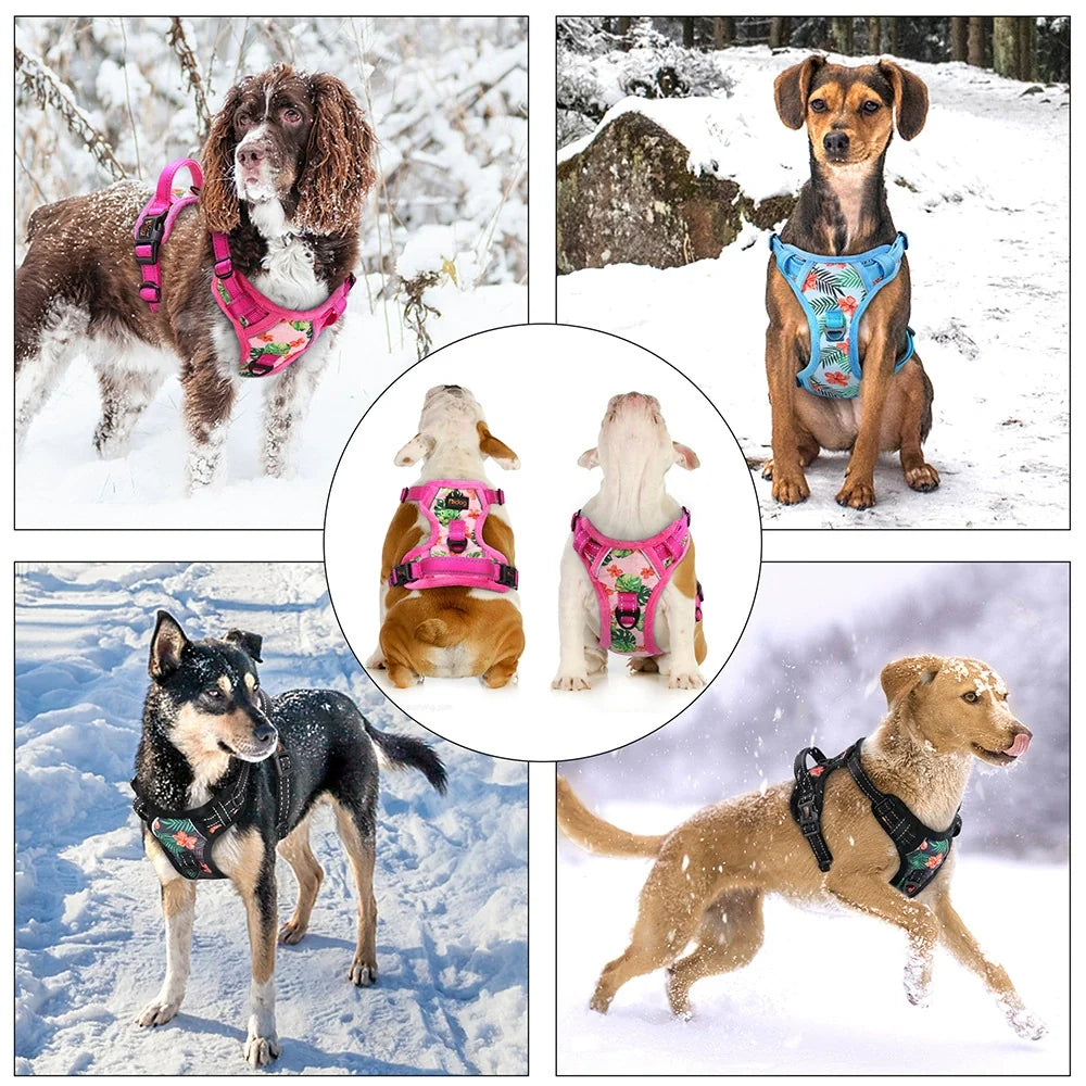 Snootie’s Reflective Padded Dog Harness + Leash Set with Floral Print