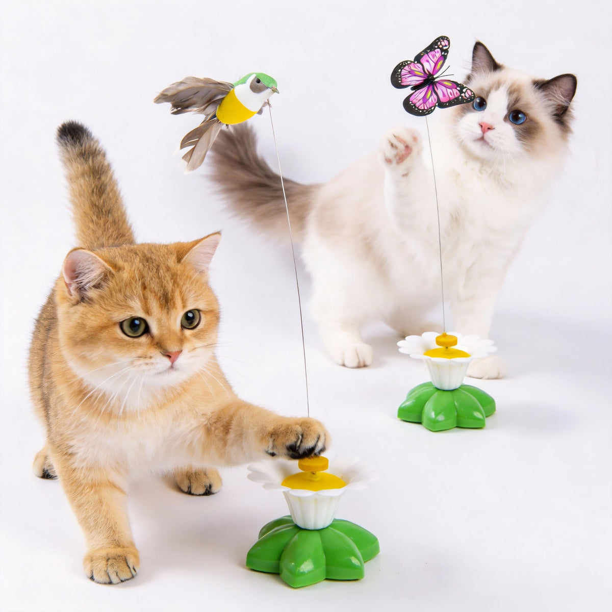 Snootie’s Electric Rotating Butterfly or Bird Cat Toy