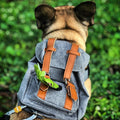 Snootie’s Gray Mini Dog Backpack with Waste-Bag Dispenser