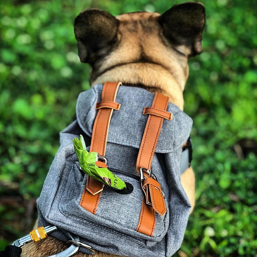 Snootie’s Gray Mini Dog Backpack with Waste-Bag Dispenser
