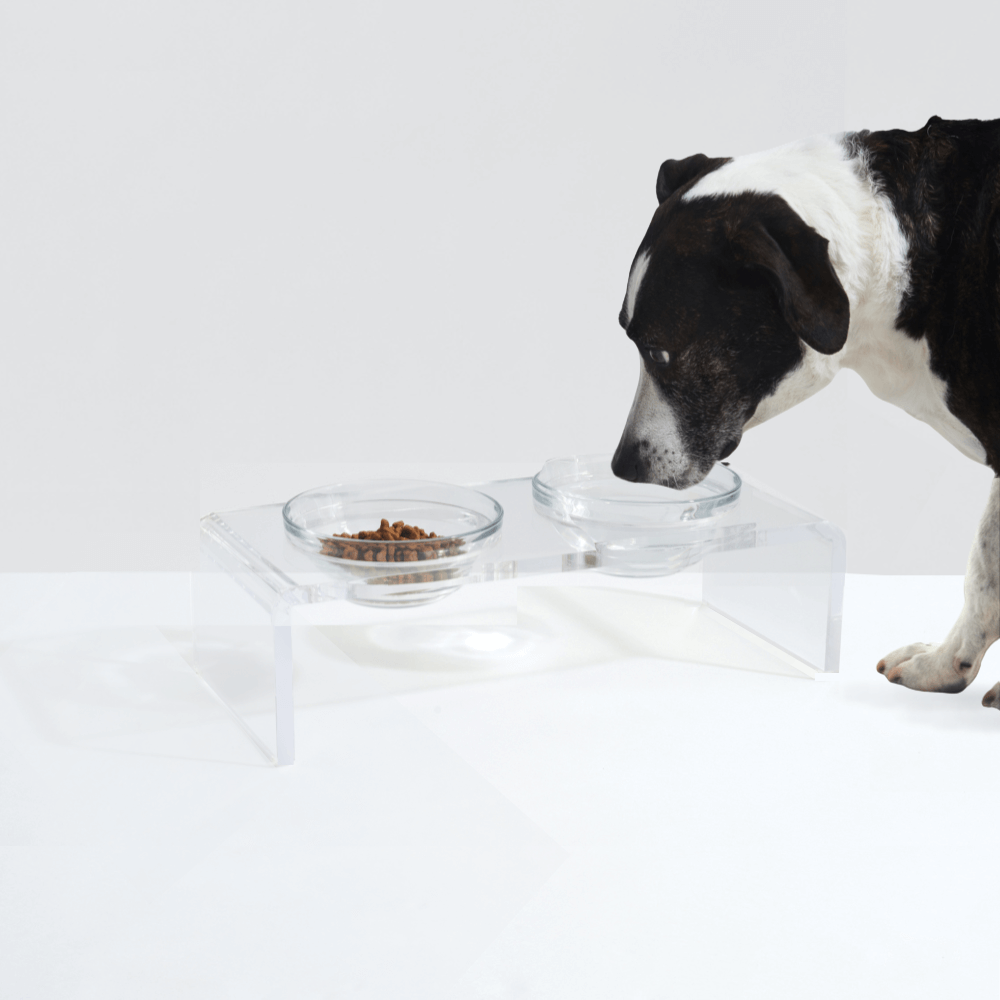 Small Glass Bowl Feeder