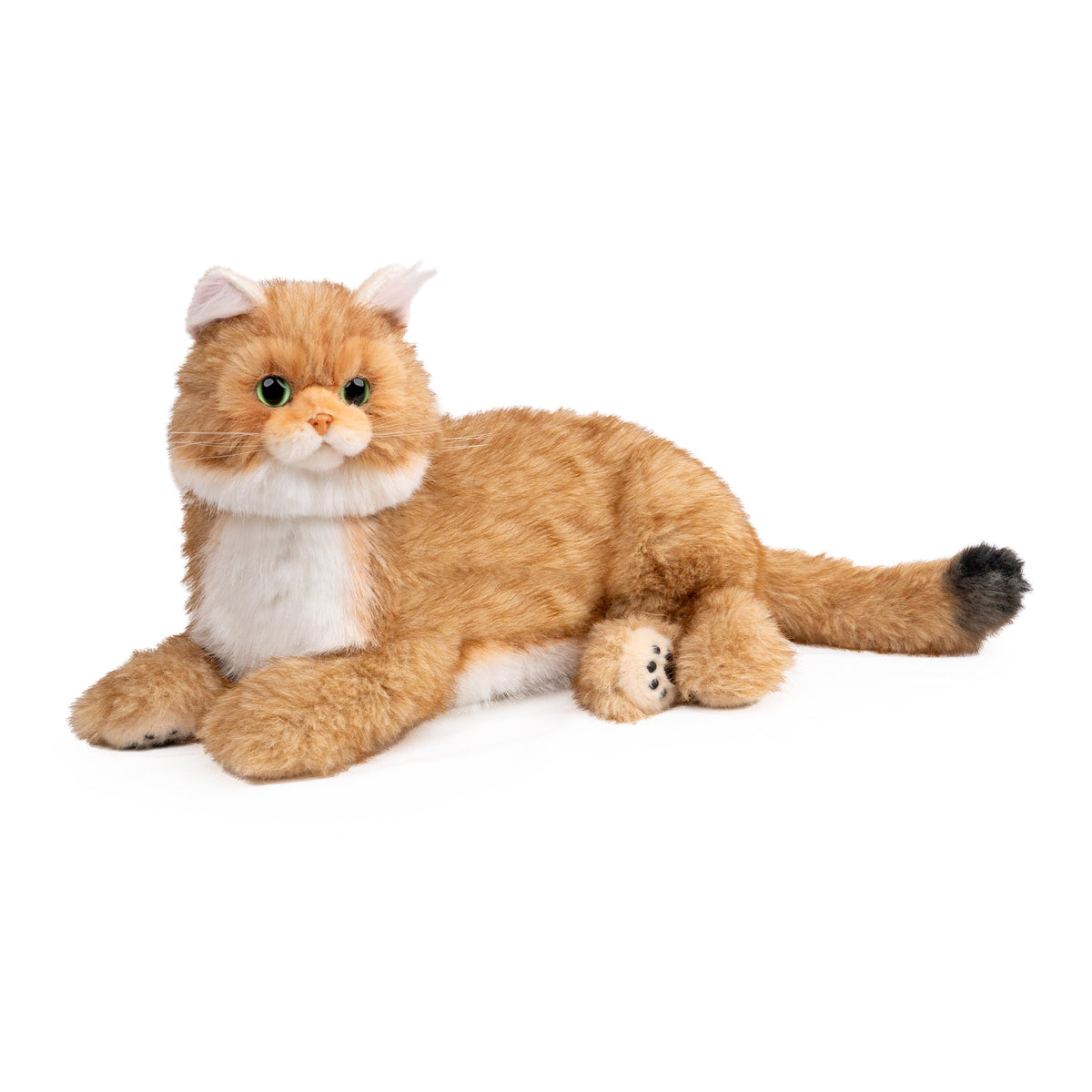 Percy 2.0 Robotic Golden British Shorthair Cat with Breathing & Heartbeat