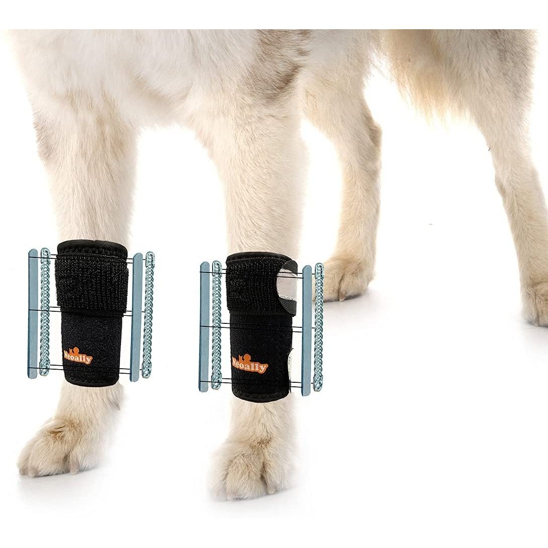 NeoAlly 3-in-1 Front Leg Dog Splint Brace with Reflective Straps (Pair)