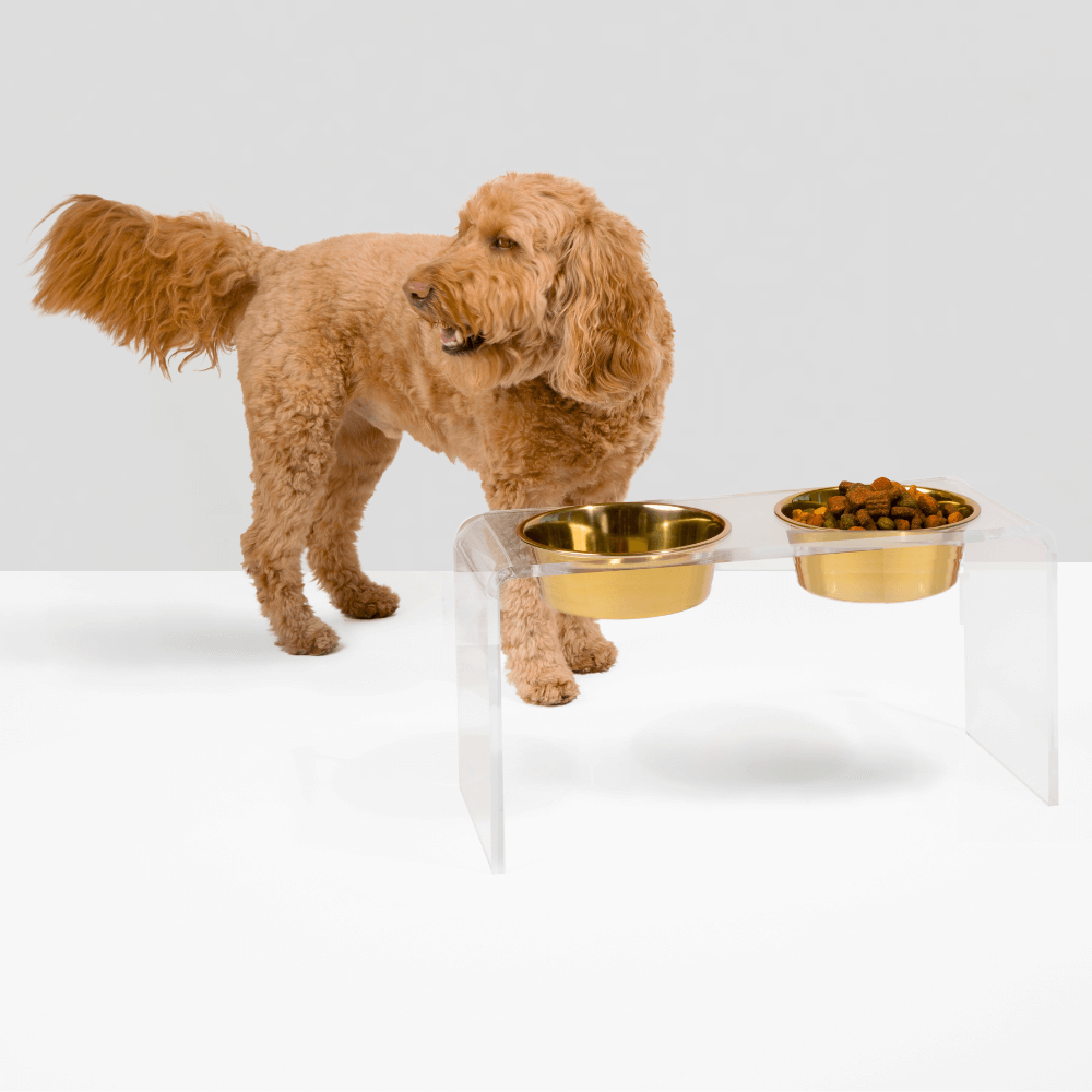 Tall Gold Double Feeder