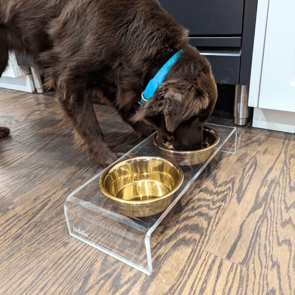Small Gold Feeder