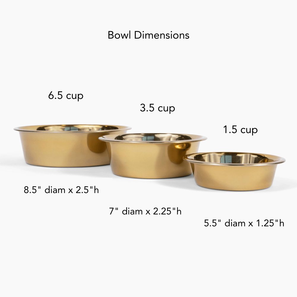 Medium Triple Gold Feeder